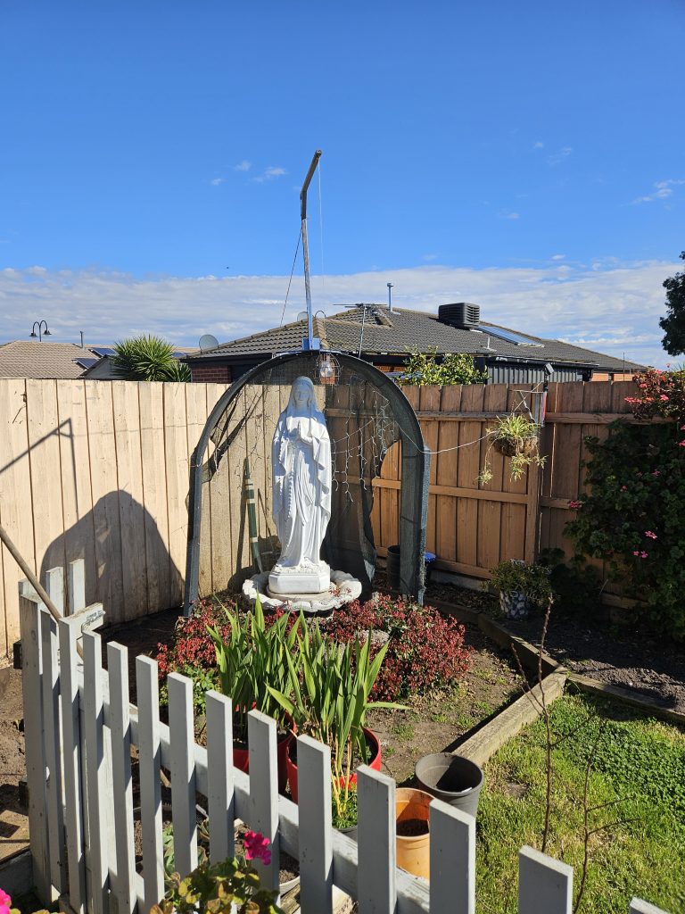 Chris and the Mother Mary Project